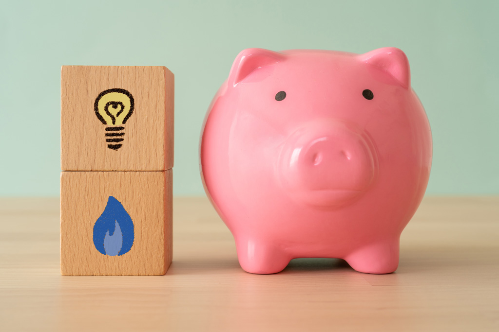 luce gas prezzo fisso o variabile