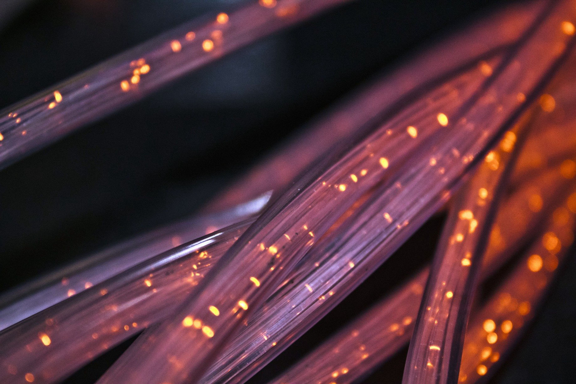 internet e fibra business